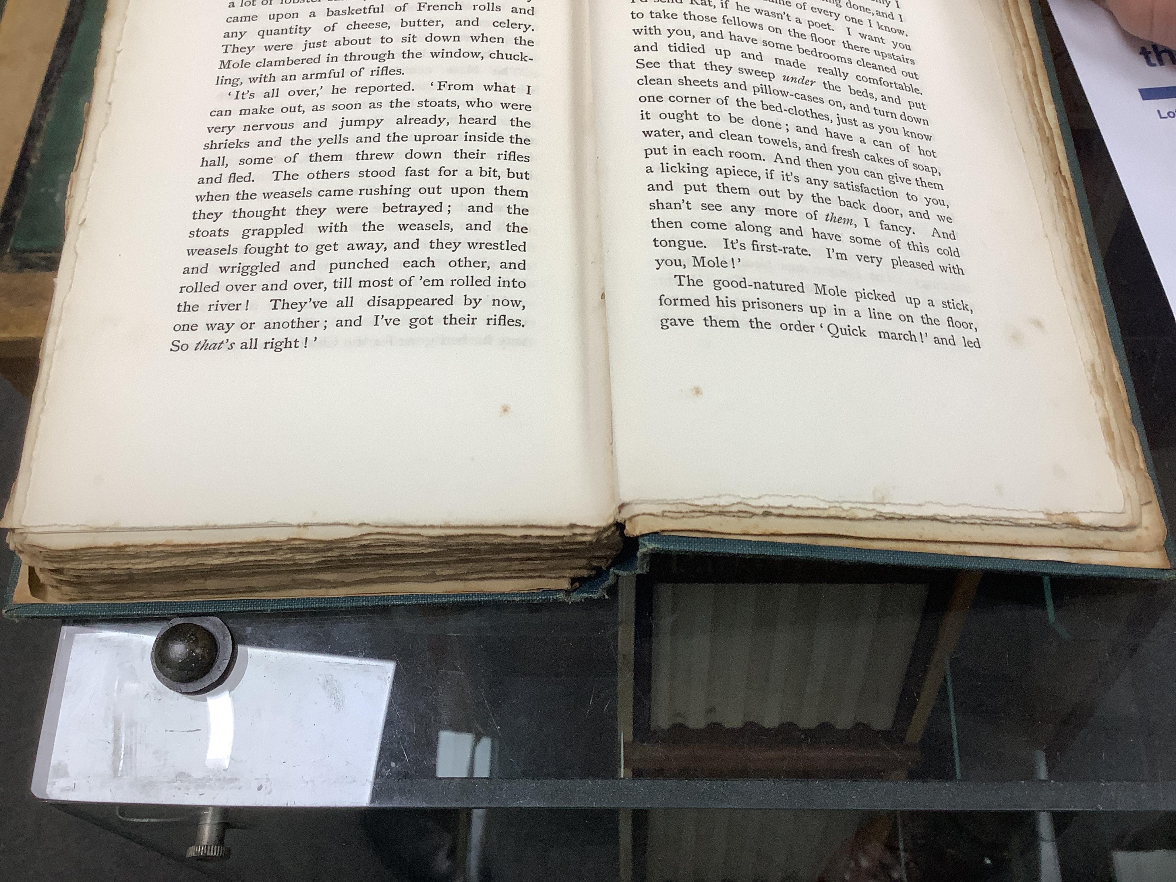 Grahame, Kenneth - The Wind in the Willows ... First Edition. frontispiece (by Graham Robertson) and tissue guard, half title; original gilt ruled and pictorial cloth, gilt top with other edges rough trimmed. Methuen and